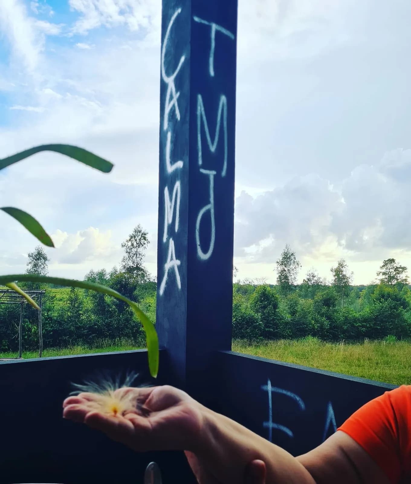 Espaço de paz e acolhimento